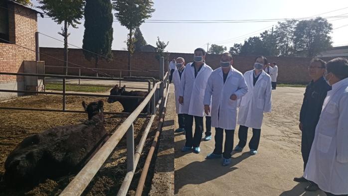 吉林省畜牧业管理局来陕考察肉牛,肉羊产业发展情况